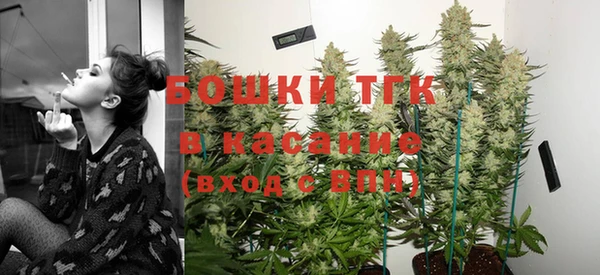 гашик Богородицк