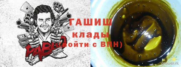 гашик Богородицк