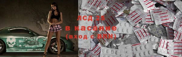 гашик Богородицк