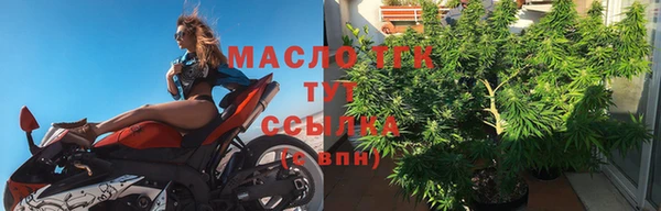 гашик Богородицк