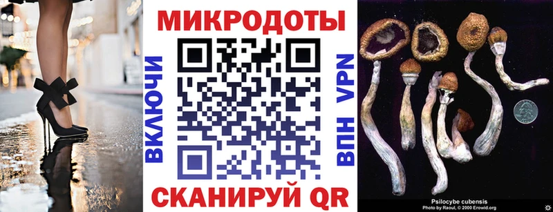 Псилоцибиновые грибы Psilocybine cubensis купить наркотик Кирово-Чепецк